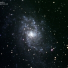 M33