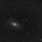 M81-1